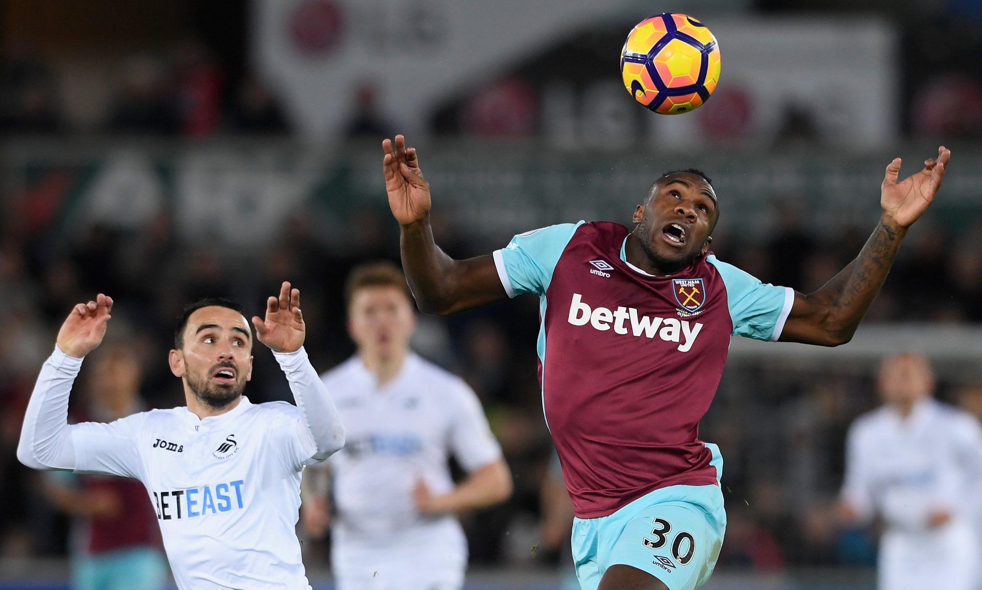 的名字早已 的名字早已